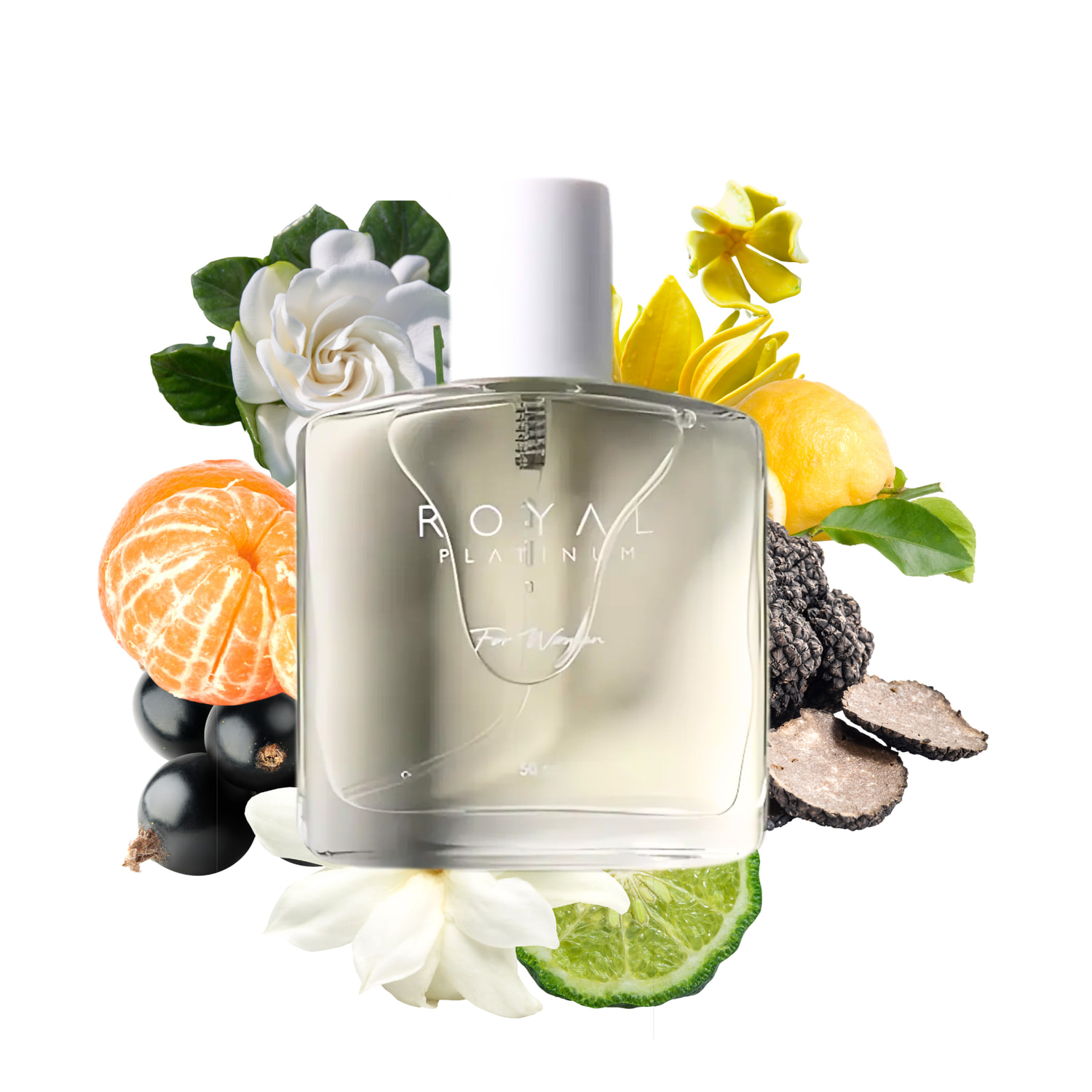 W298 Inspired by Tom Ford Black Orchid