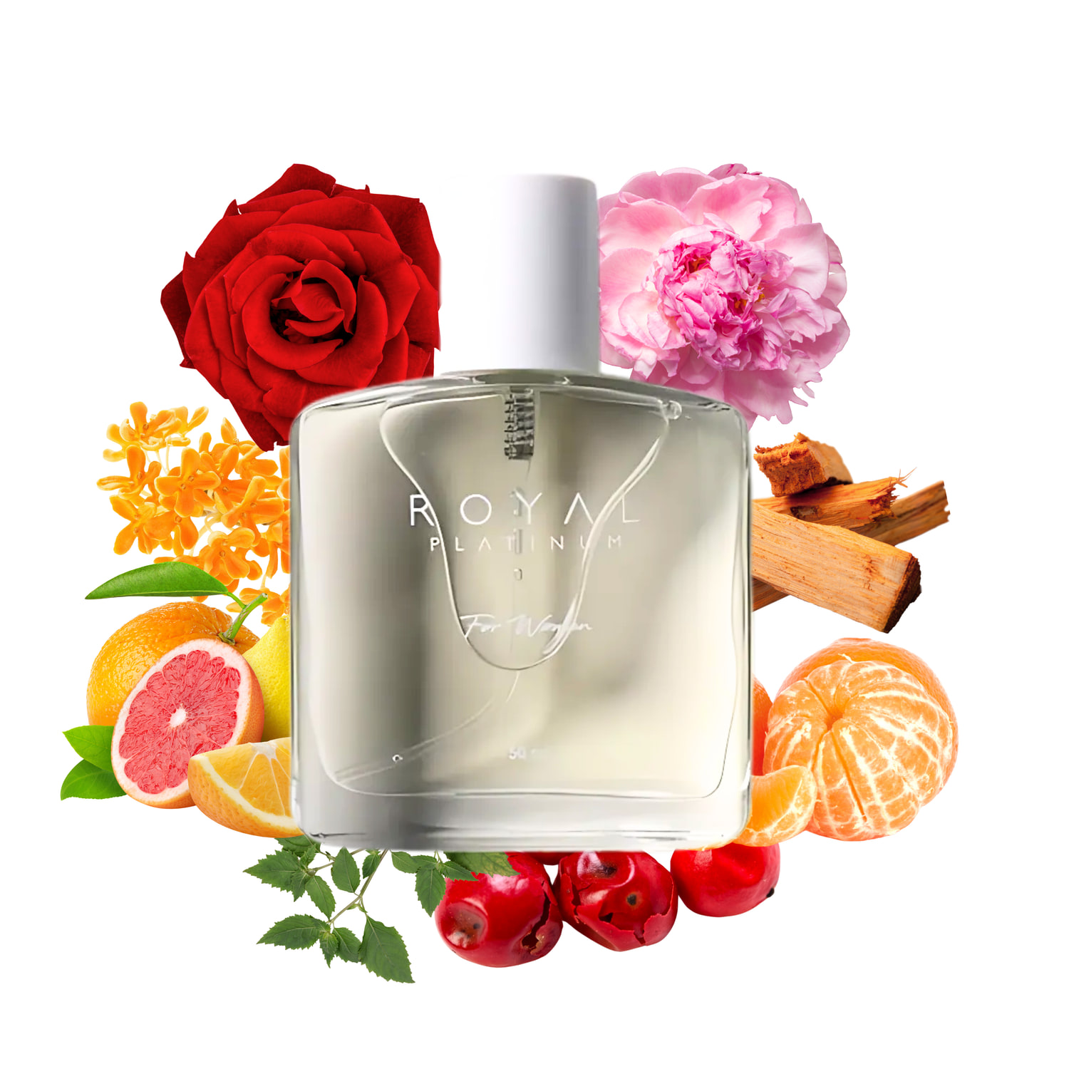 W431 Inspired by G Flora