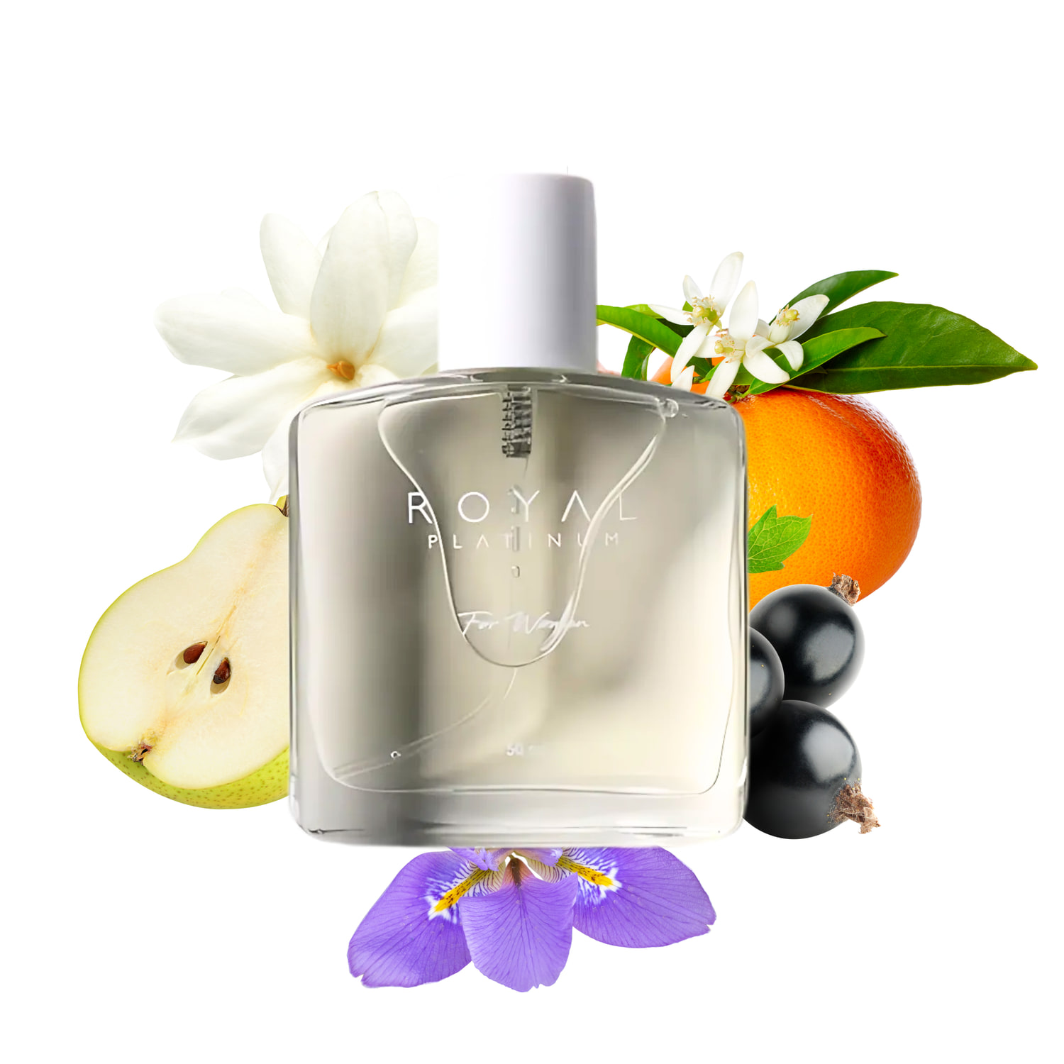 W171 Inspired by La Vie Est Belle